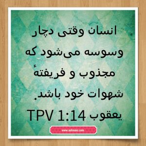 یعقوب باب ۱ آیه 14