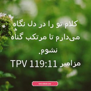 مزامیر باب ۱۱۹ آیه 11