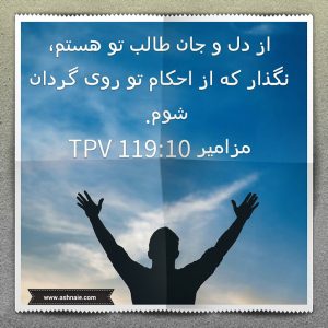 مزامیر باب ۱۱۹ آیه 10