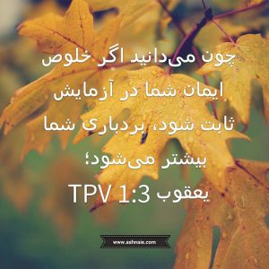 یعقوب باب ۱ آیه 3