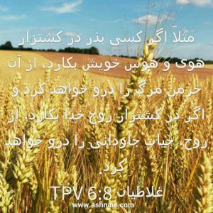 غلاطیان باب ۶  آیه ۸